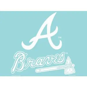 WinCraft MLB unisex-adult,unisex-children Standard WinCraft