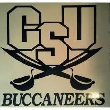 Charleston Southern CSU Cornhole Decals - 2 Cornhole Decals Free Hole Decals Creations Unlimited