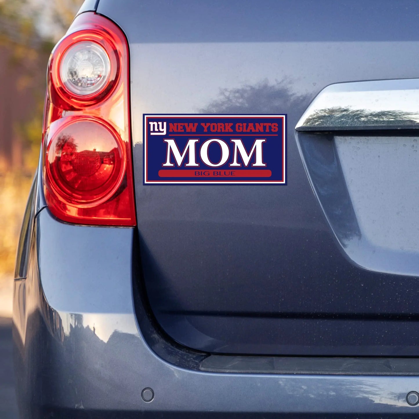 NCAA Rico Industries True Pride Family Member Decal, 4 x 6-inches, Texas A&M Aggies Rico Industries